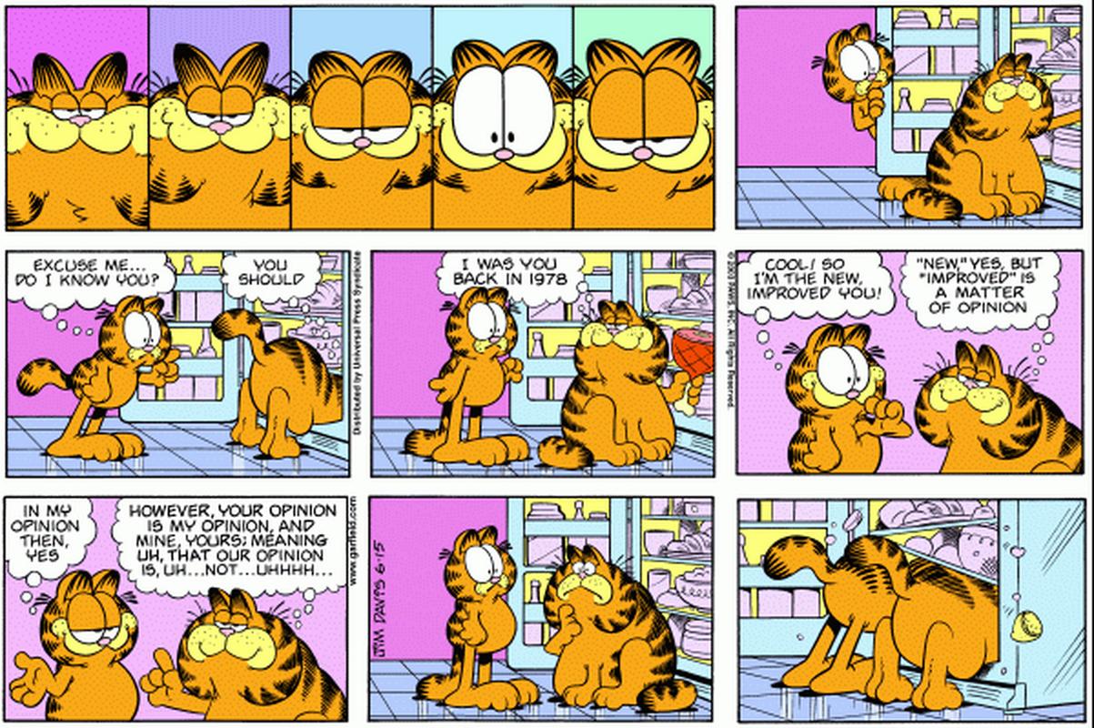 1978年加菲猫图标