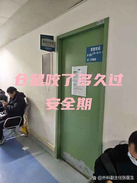 被仓鼠咬了多久过安全期