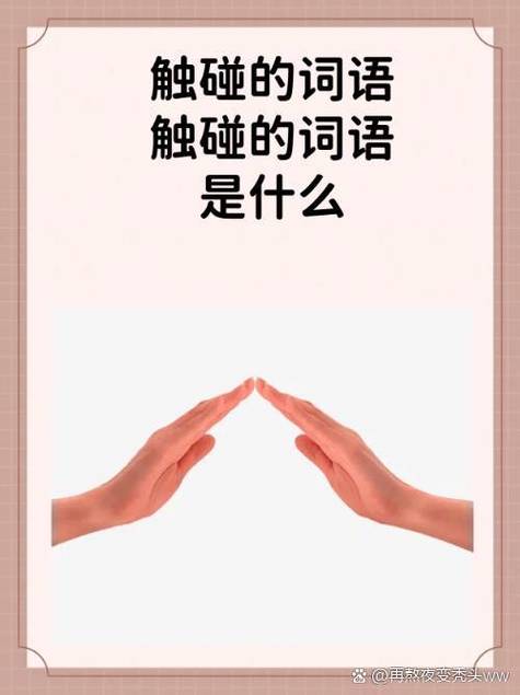 触和摸的替换词是什么截图