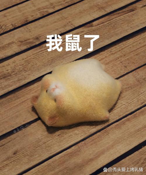仓鼠表情包集锦