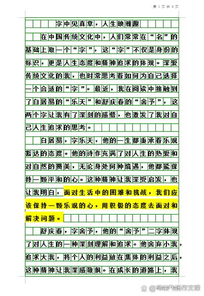 2025年中考语文满分作文缩略图