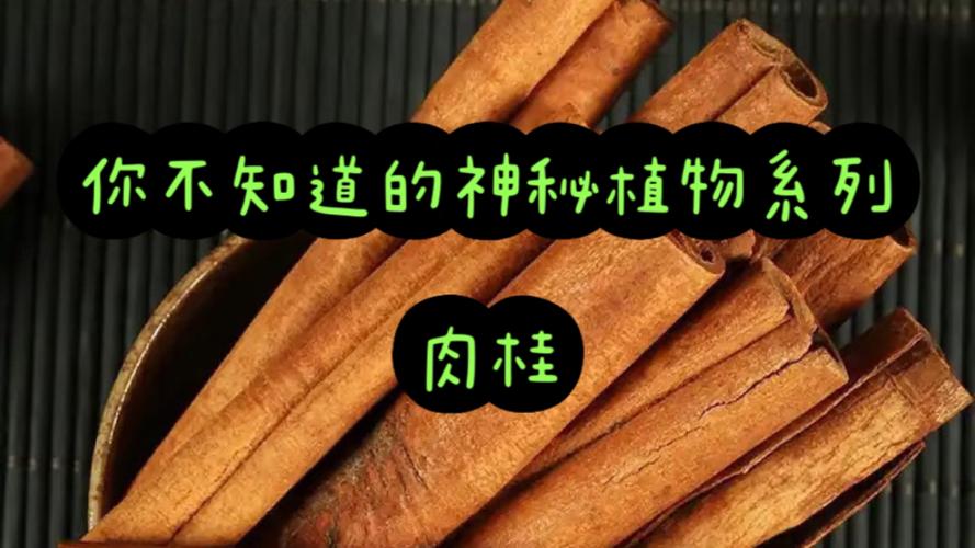中草药挣钱吗