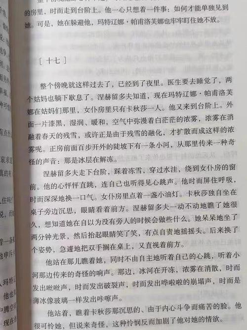 rudin的小说作品集缩略图