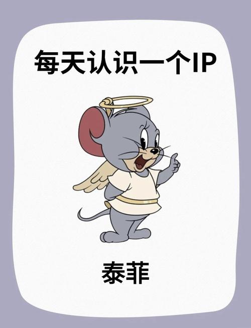 网红ip是什么意思截图