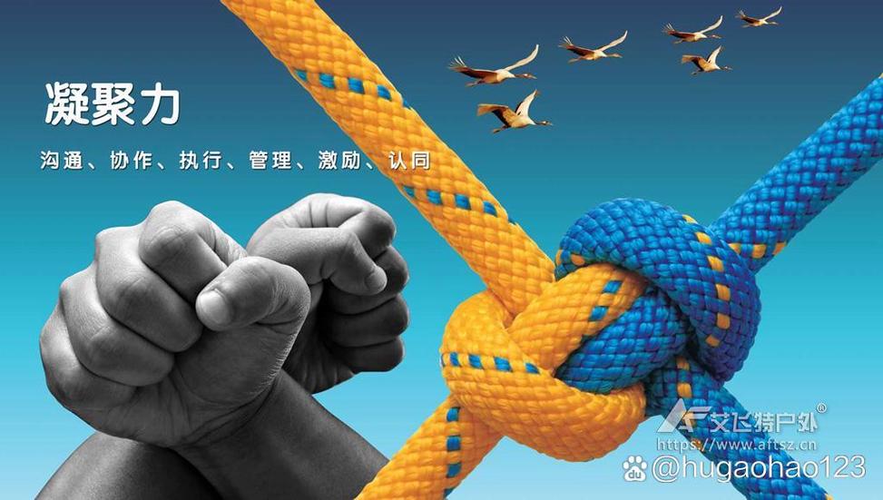 团队凝聚力游戏截图