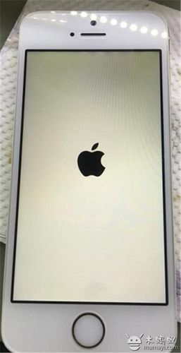 5s白苹果重启维修方法