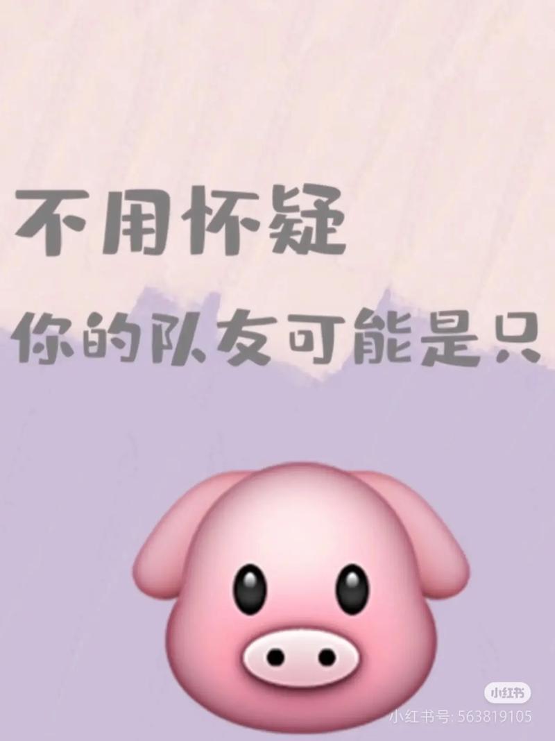 最惨是有个猪队友