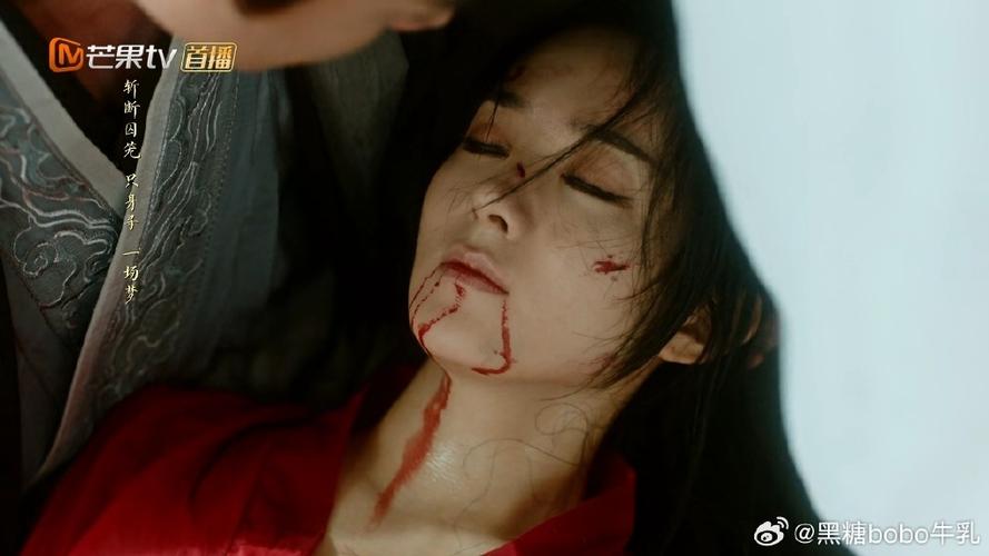 钉子电视剧高清完整版图标