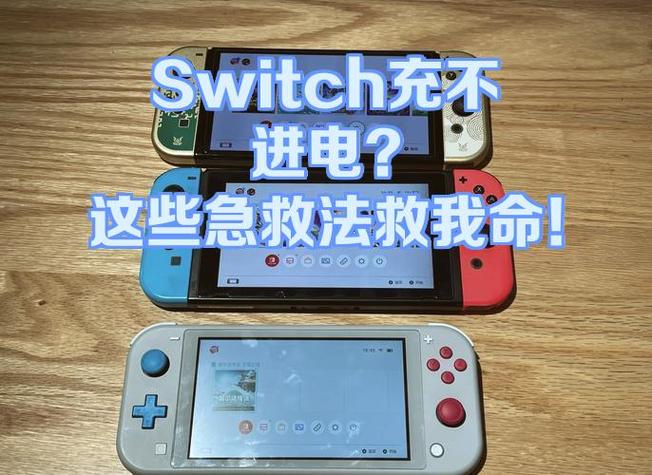 switch充不上电了怎么解决