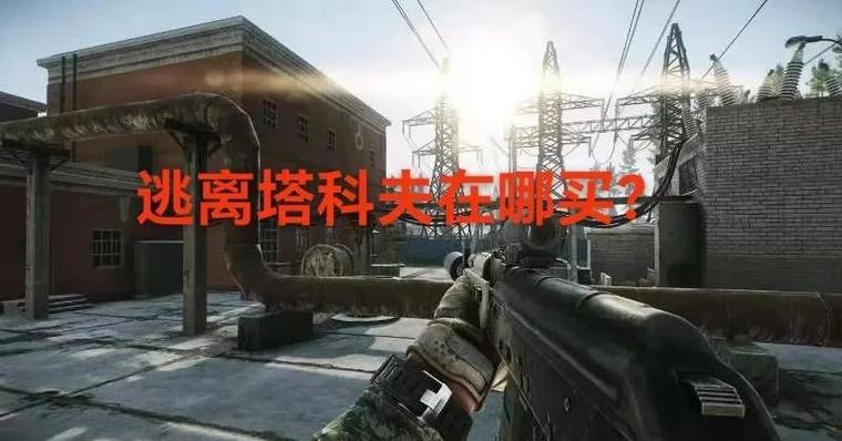 逃离塔科夫保险是永久的吗图标