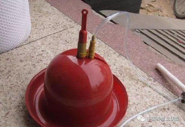 鸡自动饮水器安装视频