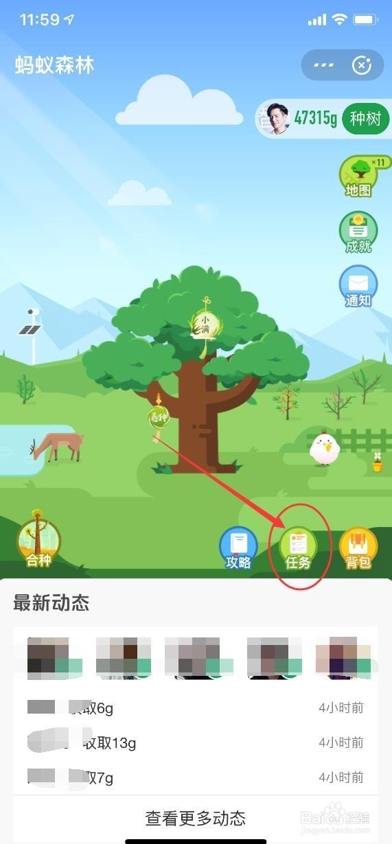 打开蚂蚁森林很慢图标