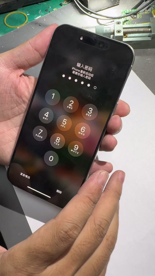 苹果输密码就无限重启图标