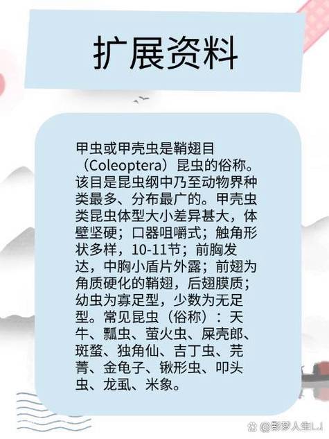 甲虫的功效与作用
