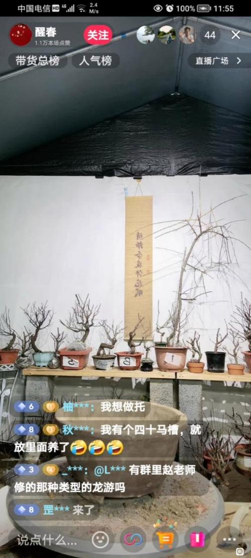 梅花交易吧