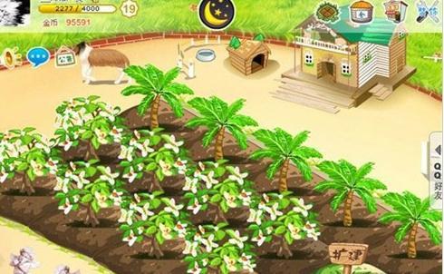 开心农场偷菜开发