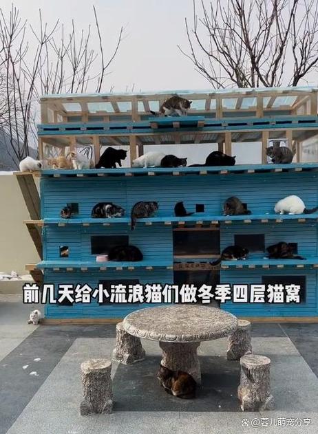 怎么安装猫