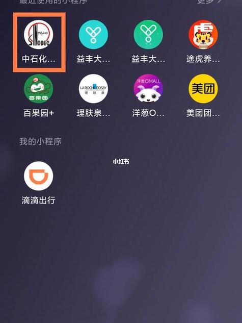 中石化查询加油记录查询