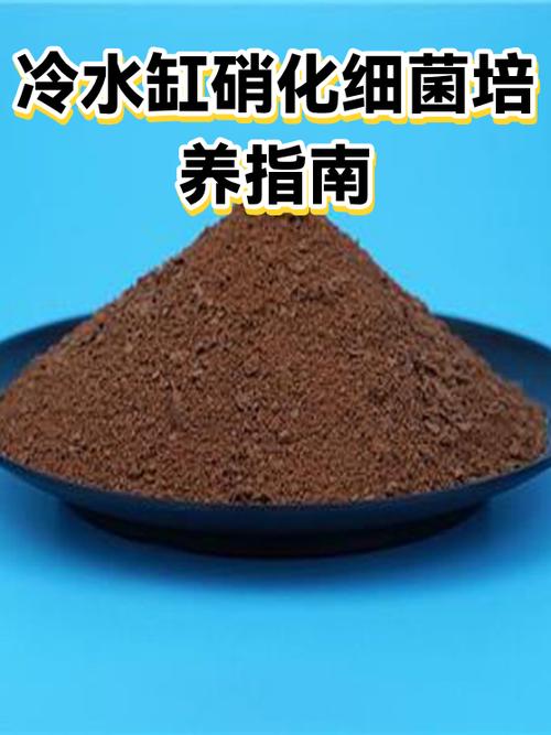 细菌培养实验报告