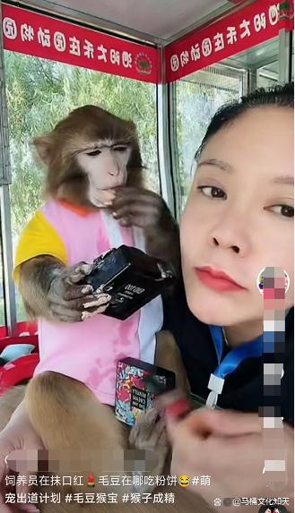 猴子直播间