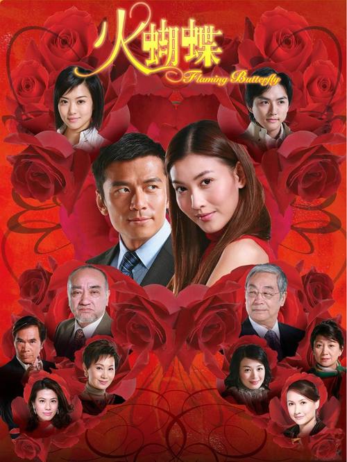 火蝴蝶电视剧2008在线