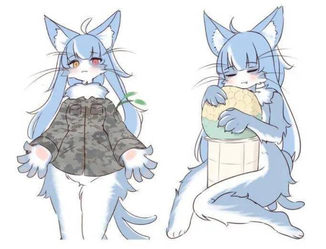 猫娘福瑞18号漫画在哪下