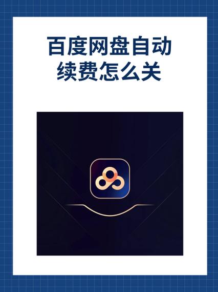 百度网盘svip倍速解锁版图标