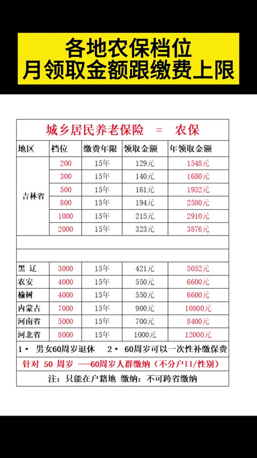 新农保缴费档次明细表