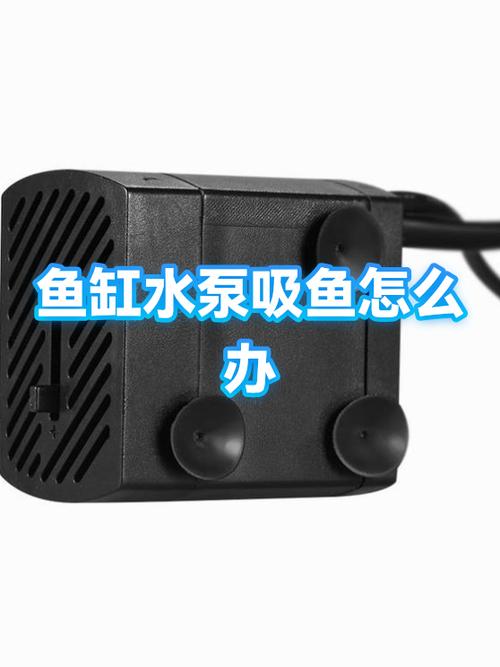 鱼缸水泵出水太大怎么解决截图