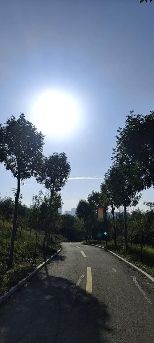 今天的天气真呀真正好