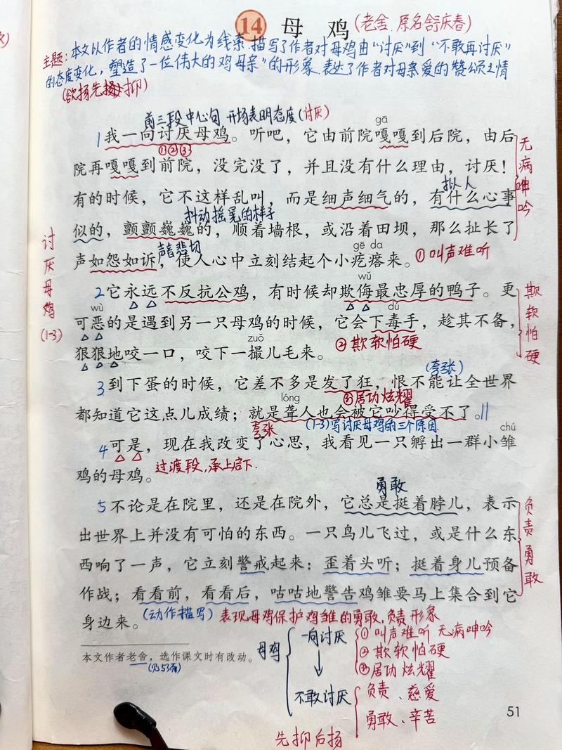 阿姑看母鸡完整版图标