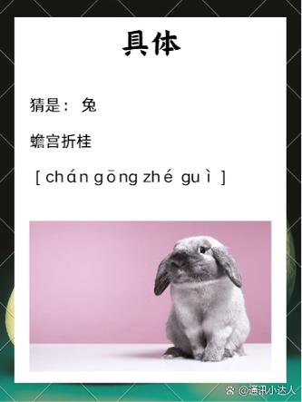 蟾宫是指哪三个生肖