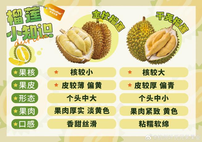 榴莲种类名称及图片缩略图