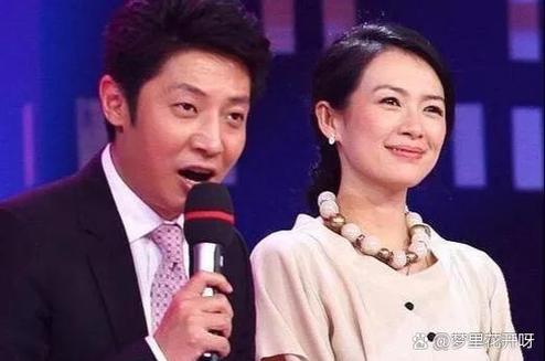 撒贝宁一年挣多少钱