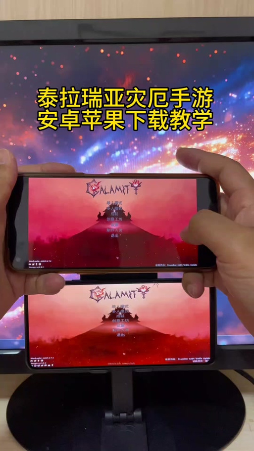 泰拉瑞亚进入游戏界面就掉帧