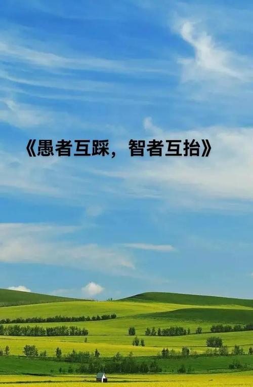 开小号的人聪明还是笨