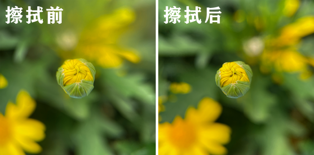 手机拍照有时候模糊有时候清楚