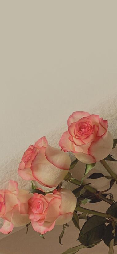 苹果11锁屏慢一秒缩略图