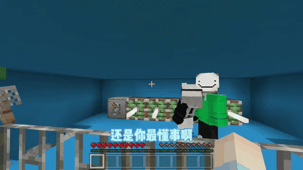 我的世界小凡Y记