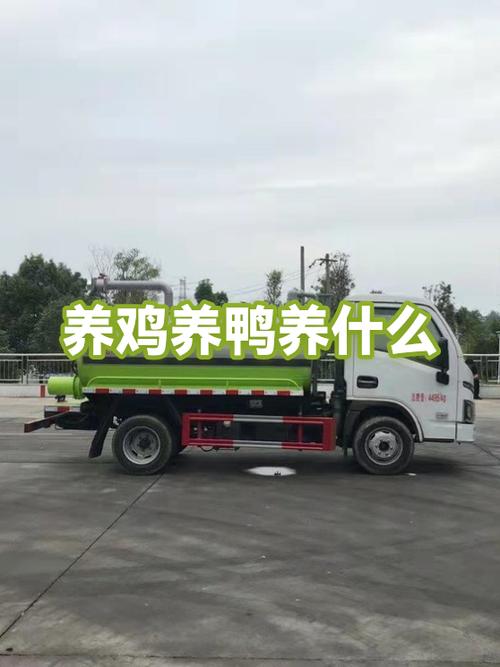 养鸡赚钱还是养鸭赚钱缩略图