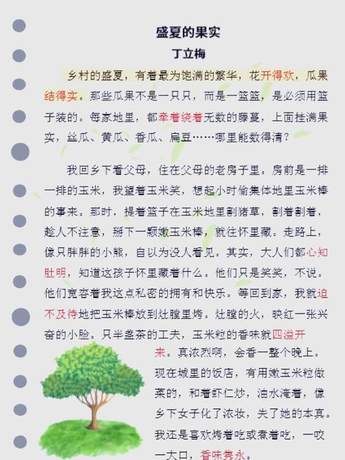 仲夏的果实第一个秘密