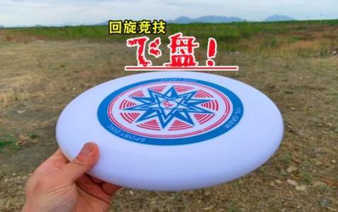 扔出去又飞回来的飞盘