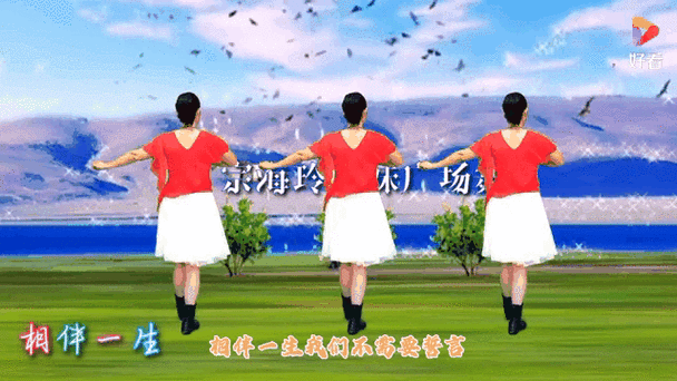 中老年人的广场舞十首视频