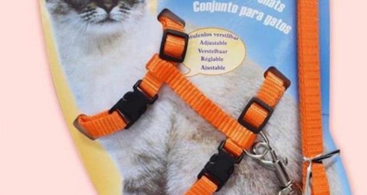猫绳的绑法图解