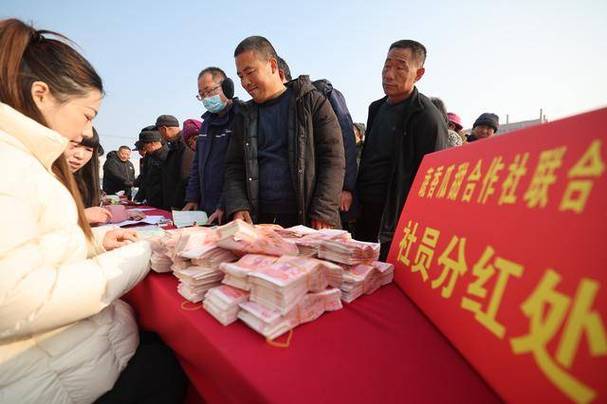 村里分红是按什么来