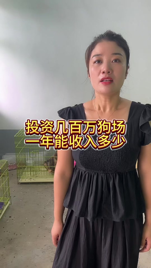 养狗场一年能赚多少钱