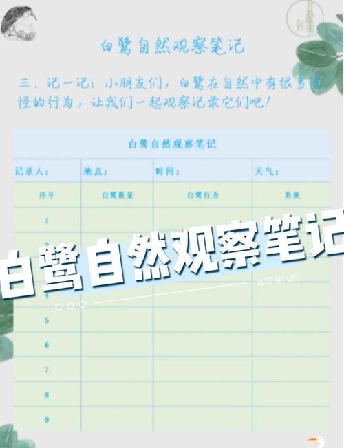 jm看着看着就白屏