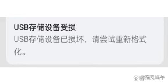usb存储设备已损坏怎么恢复游戏截图