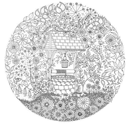 涂色画秘密花园截图