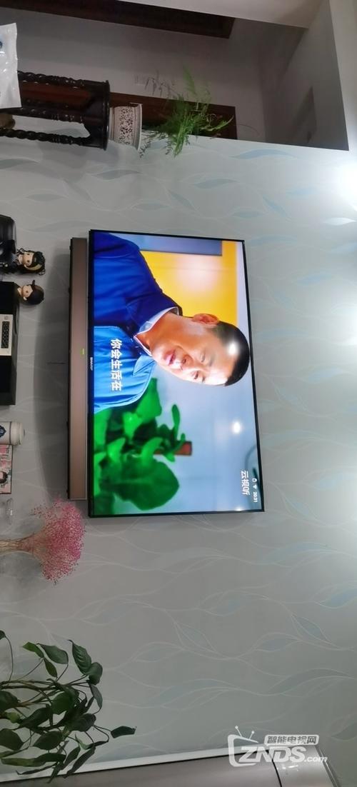 夏普网络电视总是闪退图标